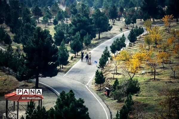 آلودگی هوای تهران