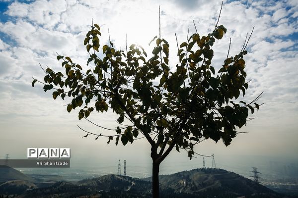 آلودگی هوای تهران