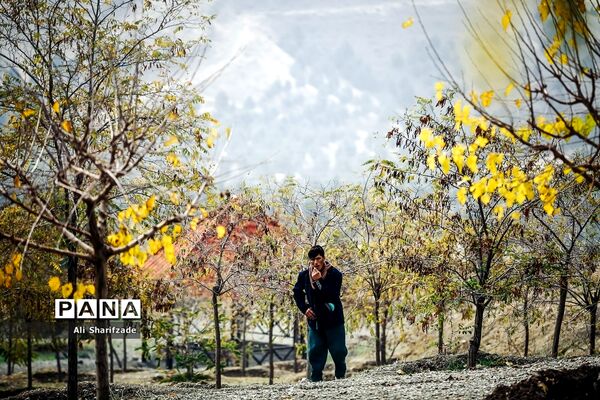 آلودگی هوای تهران