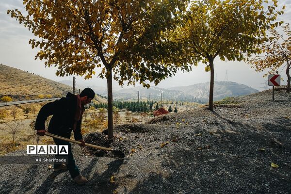 آلودگی هوای تهران