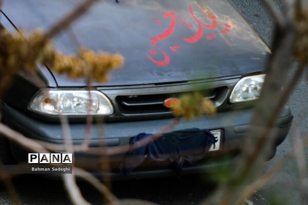پلاک زخمی