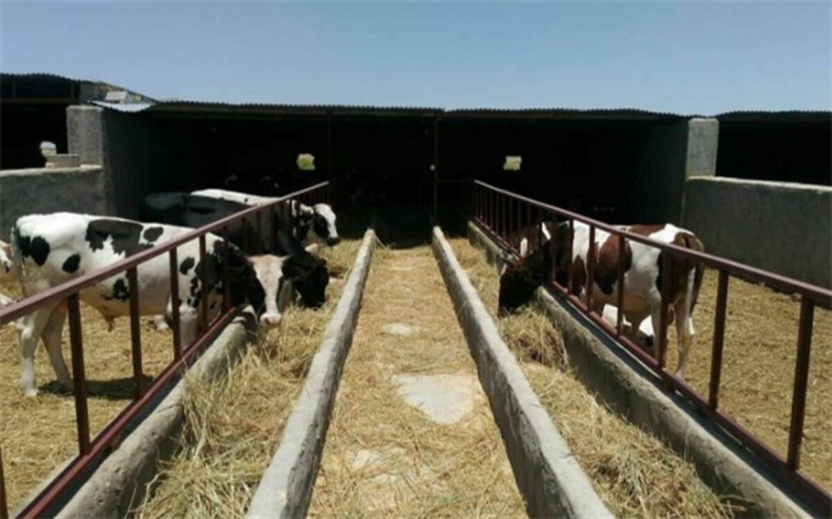 70 کارآفرین روستایی در سیستان‌وبلوچستان تسهیلات اشتغال دریافت کردند