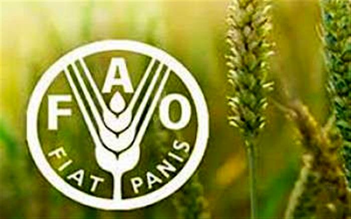 رشد شاخص قیمت مواد غذایی جهانی فائو رکورد زد