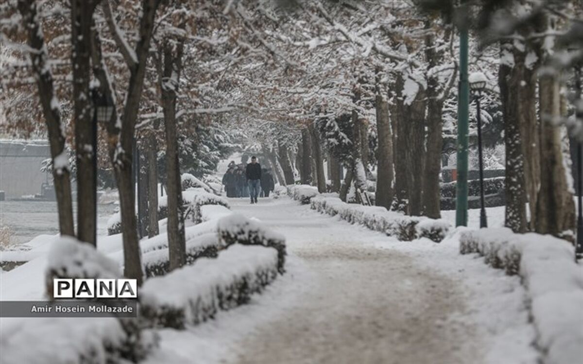 تداوم بارش برف و باران در کشور؛ هوا سردتر می‌شود