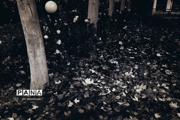 تهران آخرین روزهای پاییز