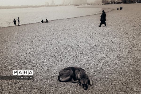 تهران آخرین روزهای پاییز