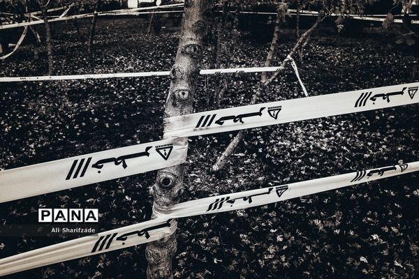 تهران آخرین روزهای پاییز