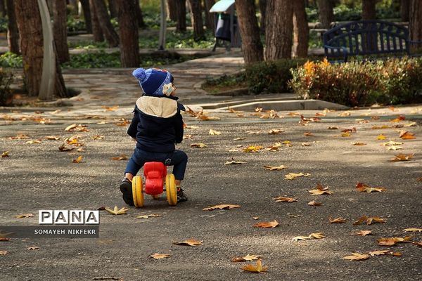 پاییز رنگارنگ درسکوت شهر