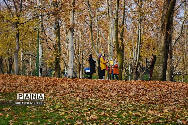 پاییز رنگارنگ درسکوت شهر