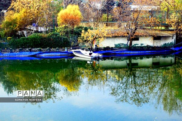 پاییز رنگارنگ درسکوت شهر