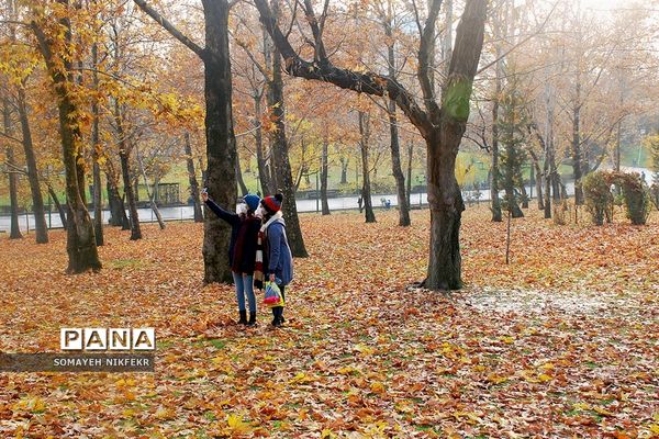 پاییز رنگارنگ درسکوت شهر