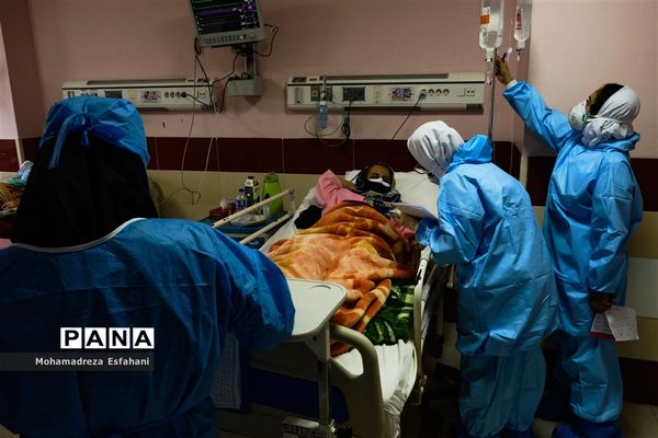 مِهری که کرونا شکستش نداد