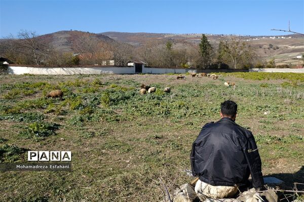 یک روز پاییزی در روستای مَجی