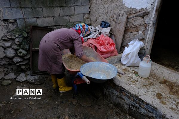 یک روز پاییزی در روستای مَجی