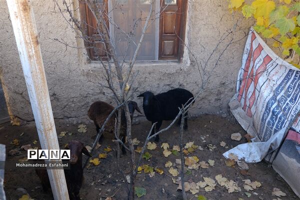 یک روز پاییزی در روستای مَجی
