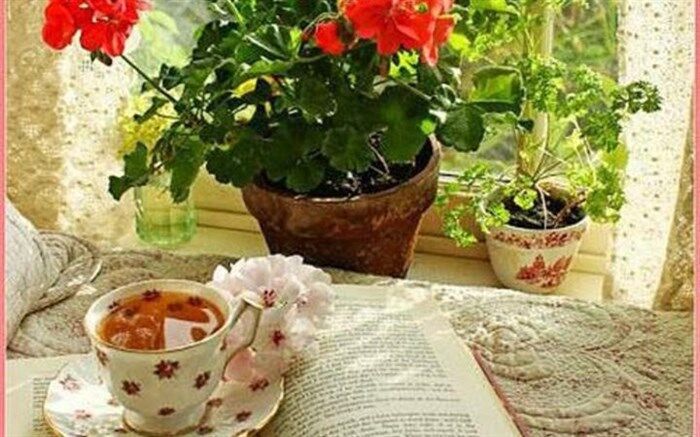 کتابخوانی،فرصت ناب این روزها