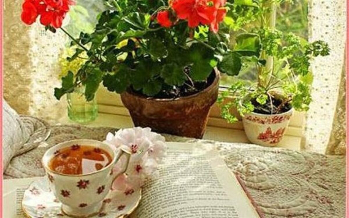کتابخوانی،فرصت ناب این روزها