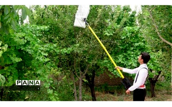 دانش آموز پژوهشگر رابری برسکوی سوم افتخار در جشنواره کشوری جوان خوارزمی