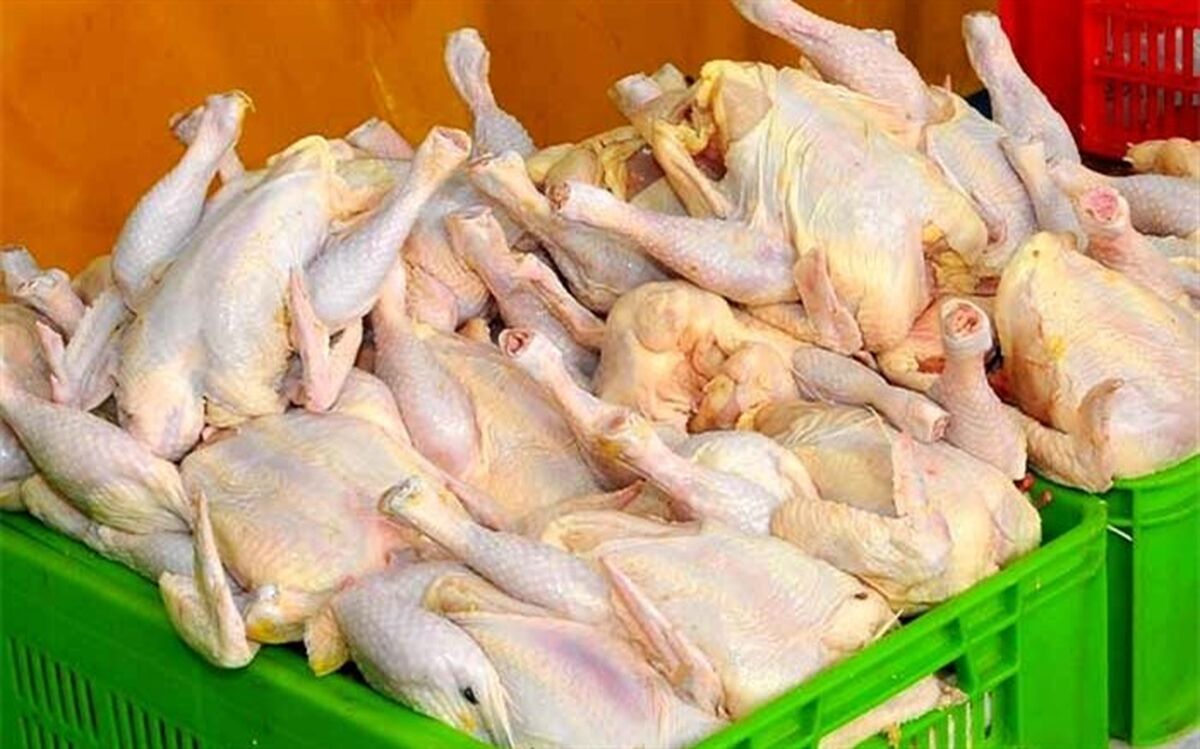 هشدار به فروشگاه‌های زنجیره‌ای درباره گران فروشی مرغ