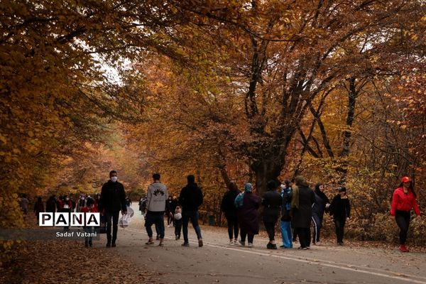 محدودیت‌های کرونایی در گرگان
