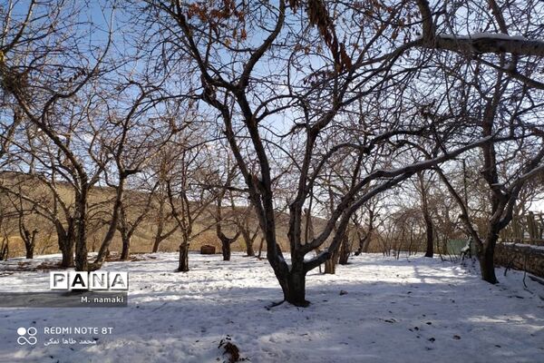 روزی با طبیعت  در مشهد اردهال