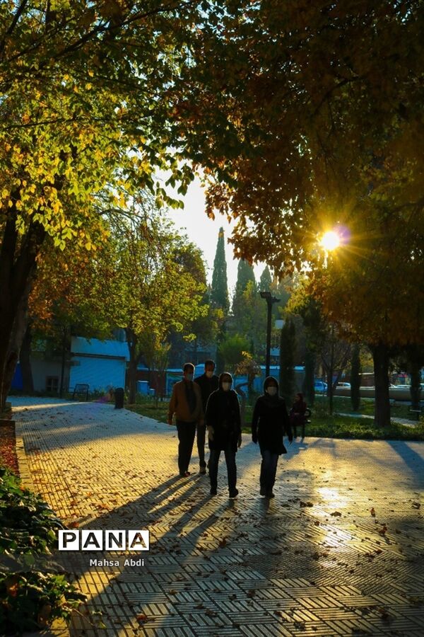 گذر پاییز در پارک شهر شیراز