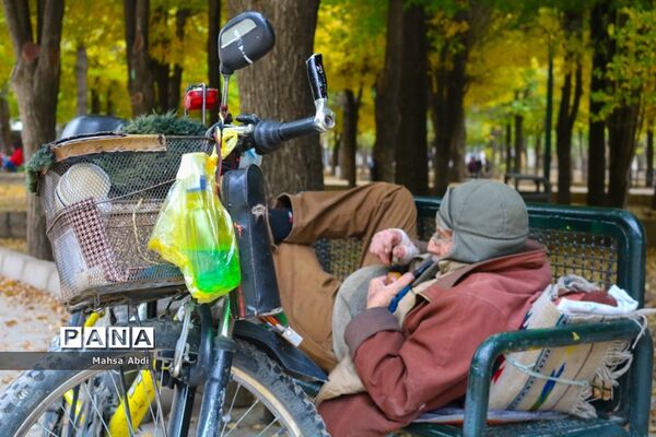 گذر پاییز در پارک شهر شیراز