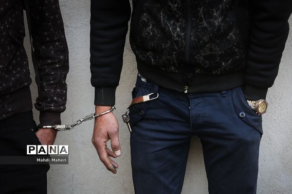 کشفیات طرح امنیت محله محور