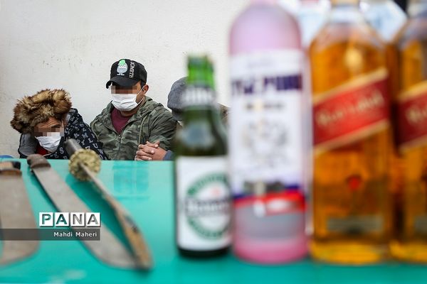 کشفیات طرح امنیت محله محور