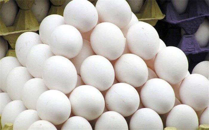 عرضه تخم مرغ بدون بسته‌بندی ممنوع است