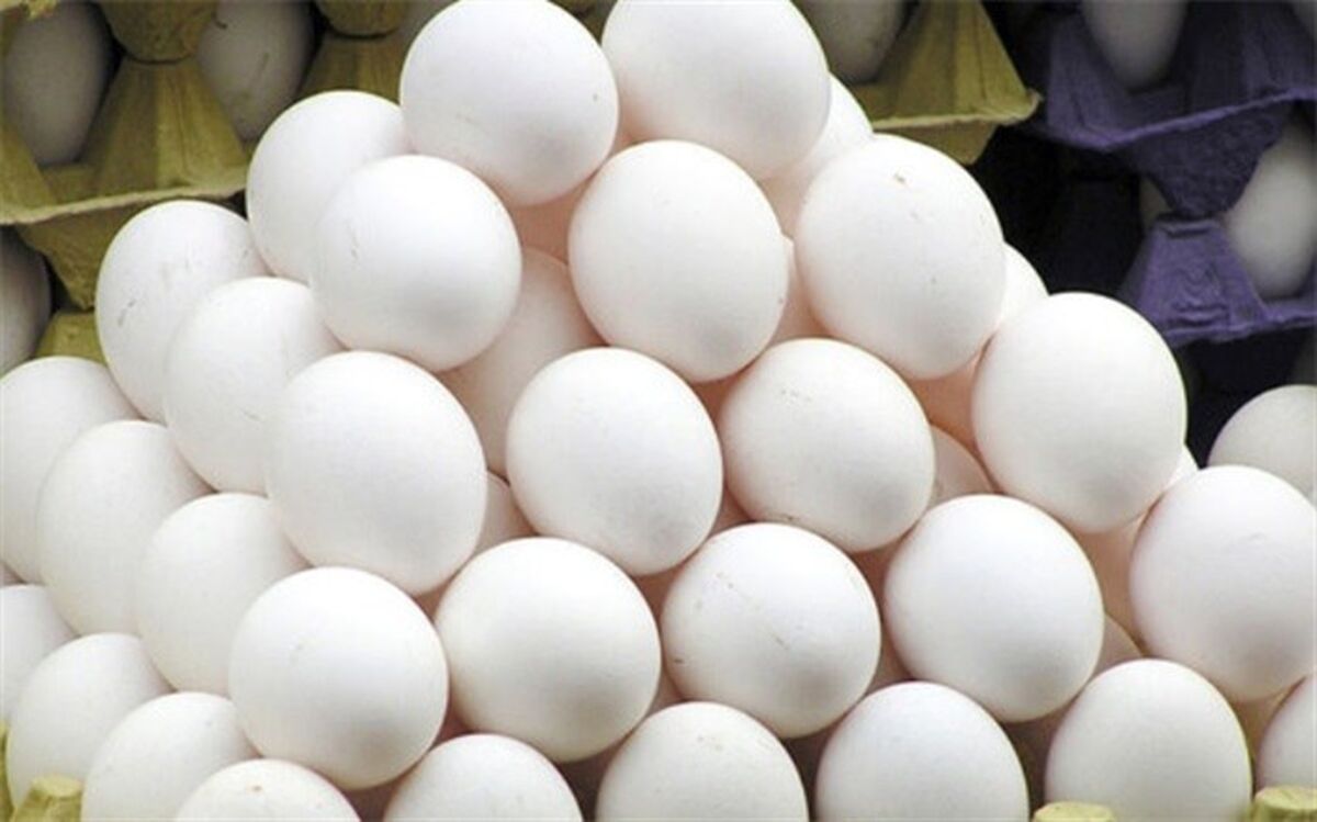 عرضه تخم مرغ بدون بسته‌بندی ممنوع است