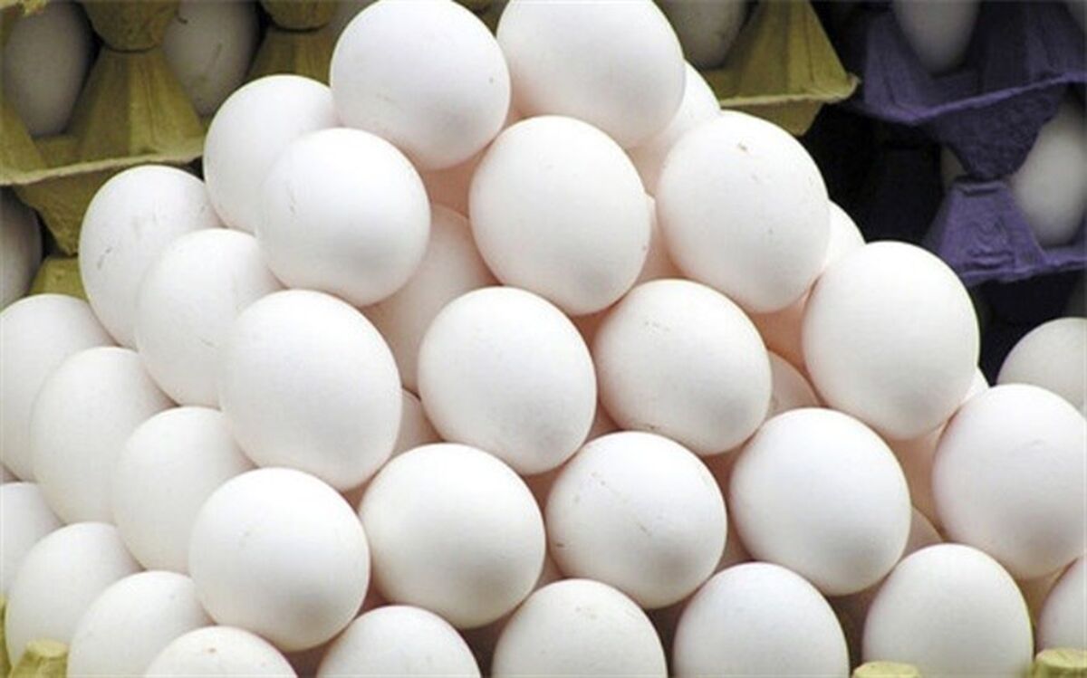 عرضه تخم مرغ بدون بسته‌بندی ممنوع است