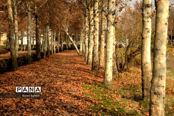 پاییز رنگارنگ تهران