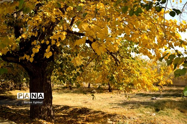 پاییز رنگارنگ تهران