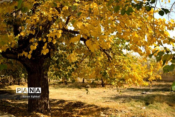 پاییز رنگارنگ تهران