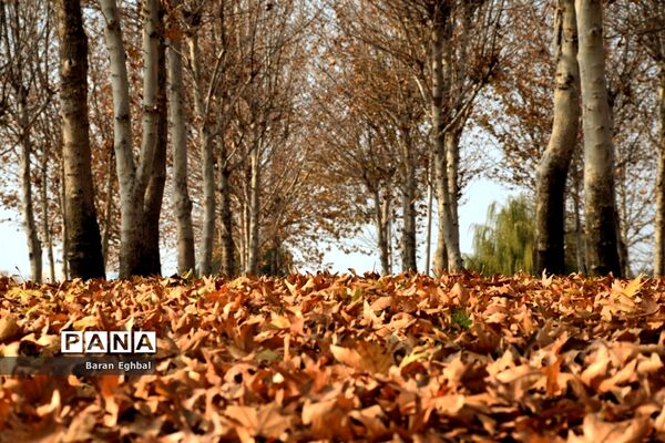 پاییز رنگارنگ تهران