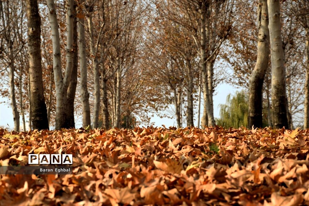 پاییز رنگارنگ تهران