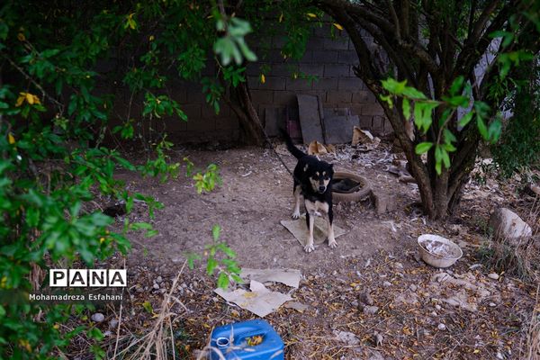 گشت‌وگذاری در روستای داراب‌کلا