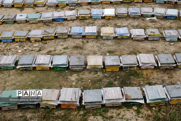 گشت‌وگذاری در روستای داراب‌کلا