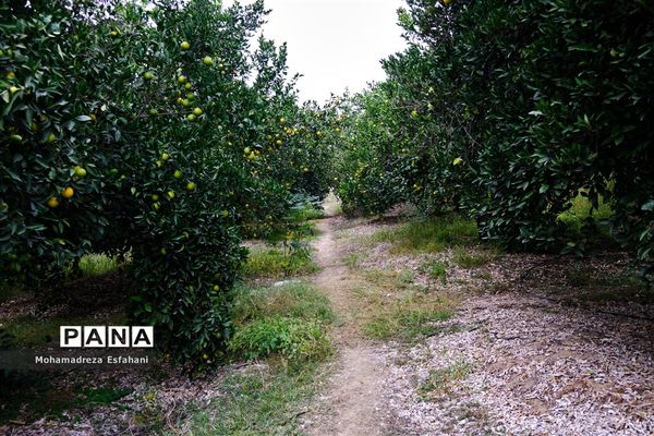 گشت‌وگذاری در روستای داراب‌کلا