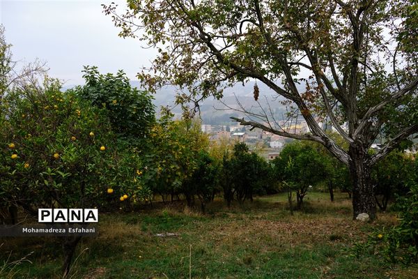 گشت‌وگذاری در روستای داراب‌کلا