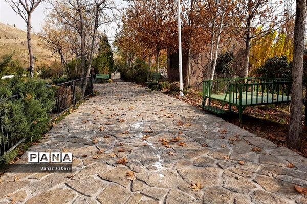 پاییز رنگارنگ تهران-۲