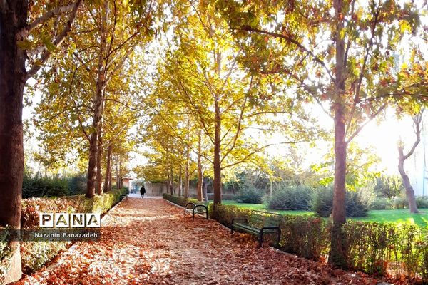 پاییز رنگارنگ تهران-۲