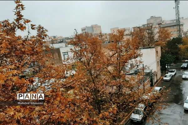 پاییز رنگارنگ تهران-۲