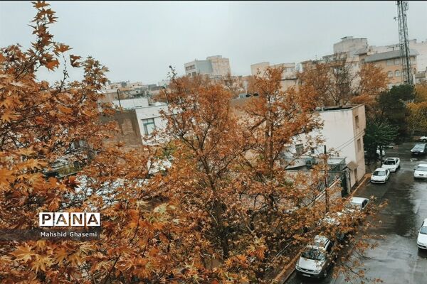 پاییز رنگارنگ تهران-۲