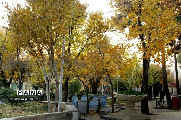 پاییز رنگارنگ تهران-۲