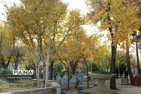 پاییز رنگارنگ تهران-۲