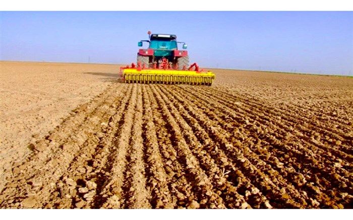 کشت پاییزه در سیستان و بلوچستان به ۵۳ هزار هکتار رسید