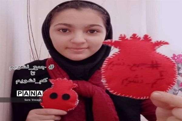 برگزاری پویش هشتگ جمع نشویم تا کم نشویم  دانش آموزان شهریاری