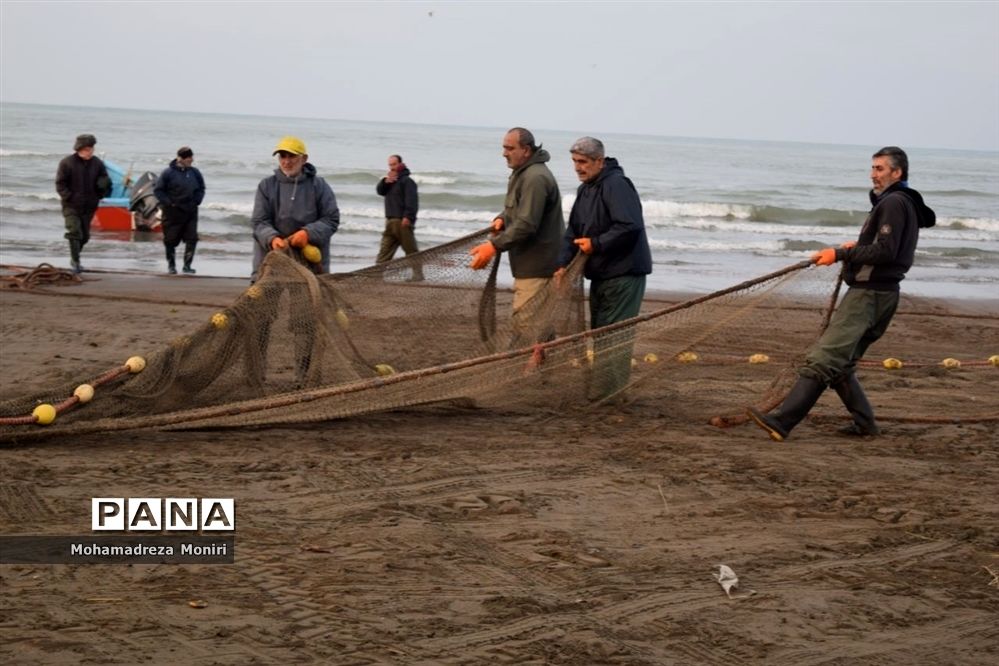 تورهای خالی از ماهی ماهیگیران فریدونکنار